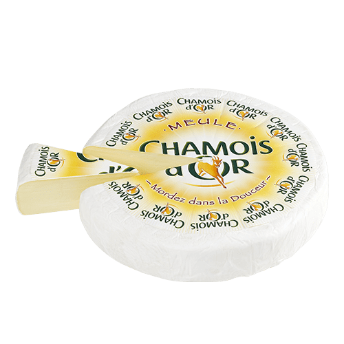 Chamois d'or