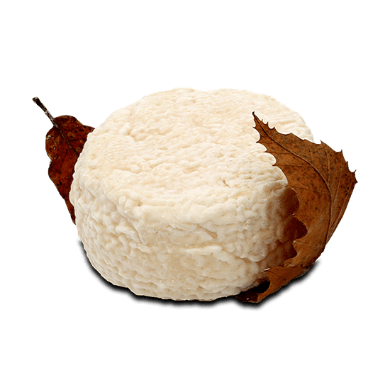 Le Mothais Sur Feuille Blanc